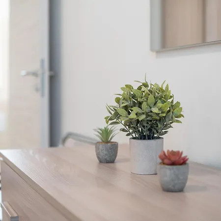 公寓式酒店 Icaro With A Beautiful Pool 4*